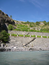 Dora 2009